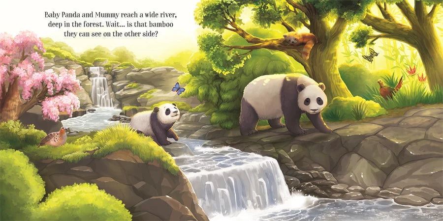 Baby Pandas Adventure Board Book