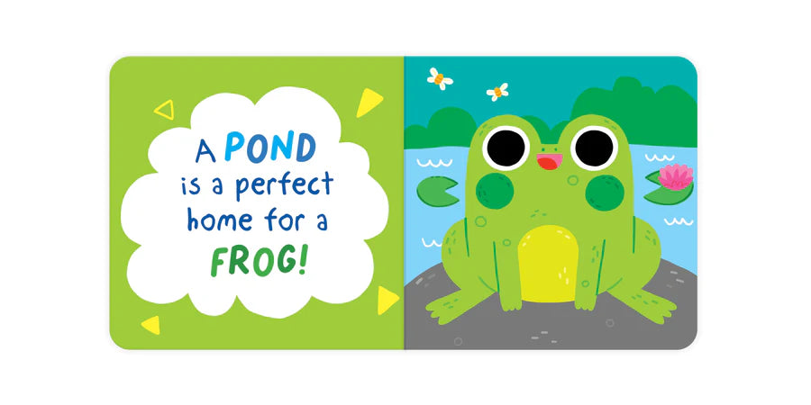 A Home For A Frog Wobbly Eye Board Book