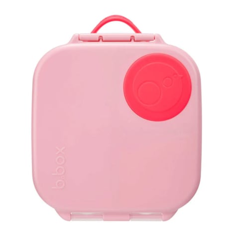 Bbox Mini Lunchbox