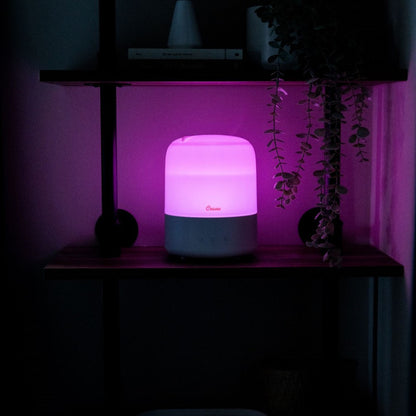 Crane 3 in 1 Cool Mist Humidifier, Aroma Diffuser & Sleep Support Light – 1.9L