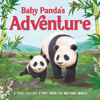 Baby Pandas Adventure Board Book
