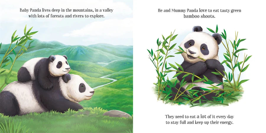 Baby Pandas Adventure Board Book
