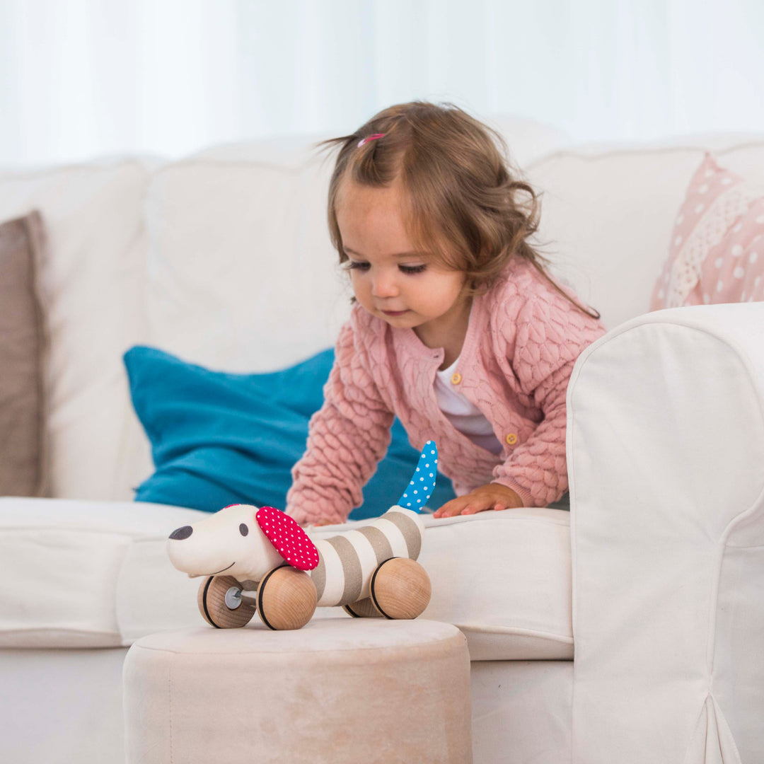 Hape Pull Along Dog